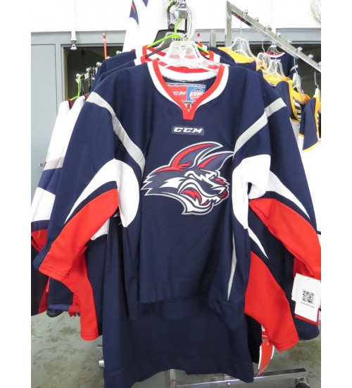 Custom ECHL Youth Elmira Jackals Hockey Jersey Road Blue